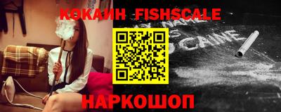 гашик Будённовск