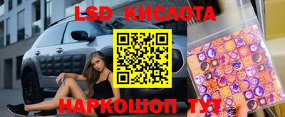 гашик Будённовск