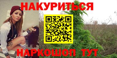 гашик Будённовск
