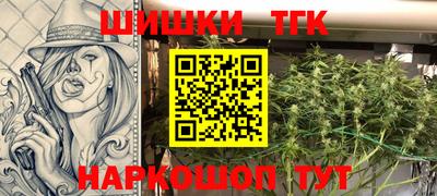 гашик Будённовск