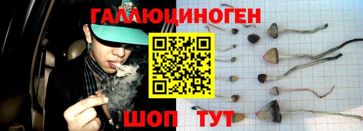 Петропавловск-Камчатский  Галлюциногенные грибы Cubensis  Вход с VPN  Галлюциногенные грибы прущие грибы 