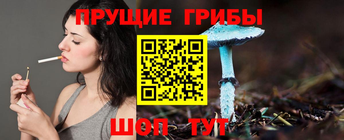 Псилоцибиновые грибы GOLDEN TEACHER Петропавловск-Камчатский